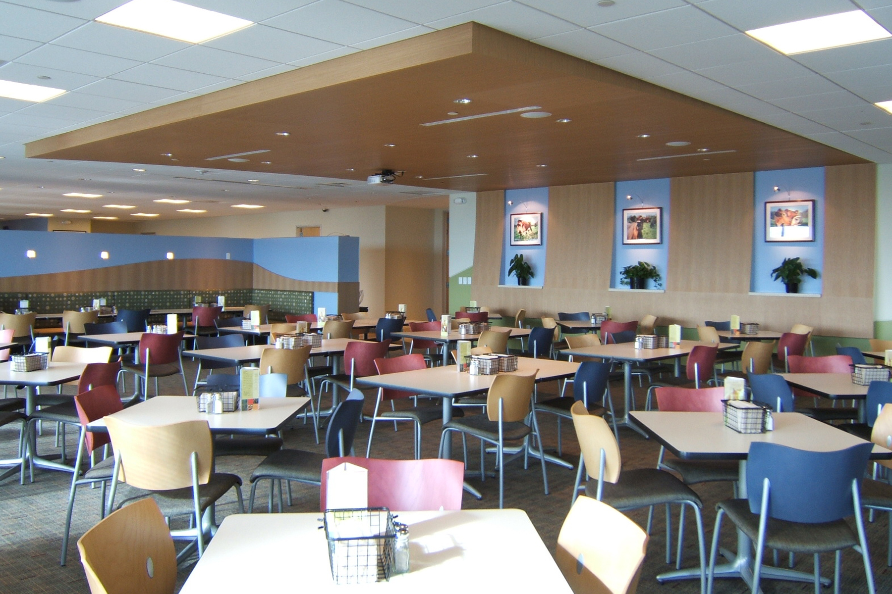 Colorado Cafeteria Buildout, Colorado Construction- Jordy Construction 1