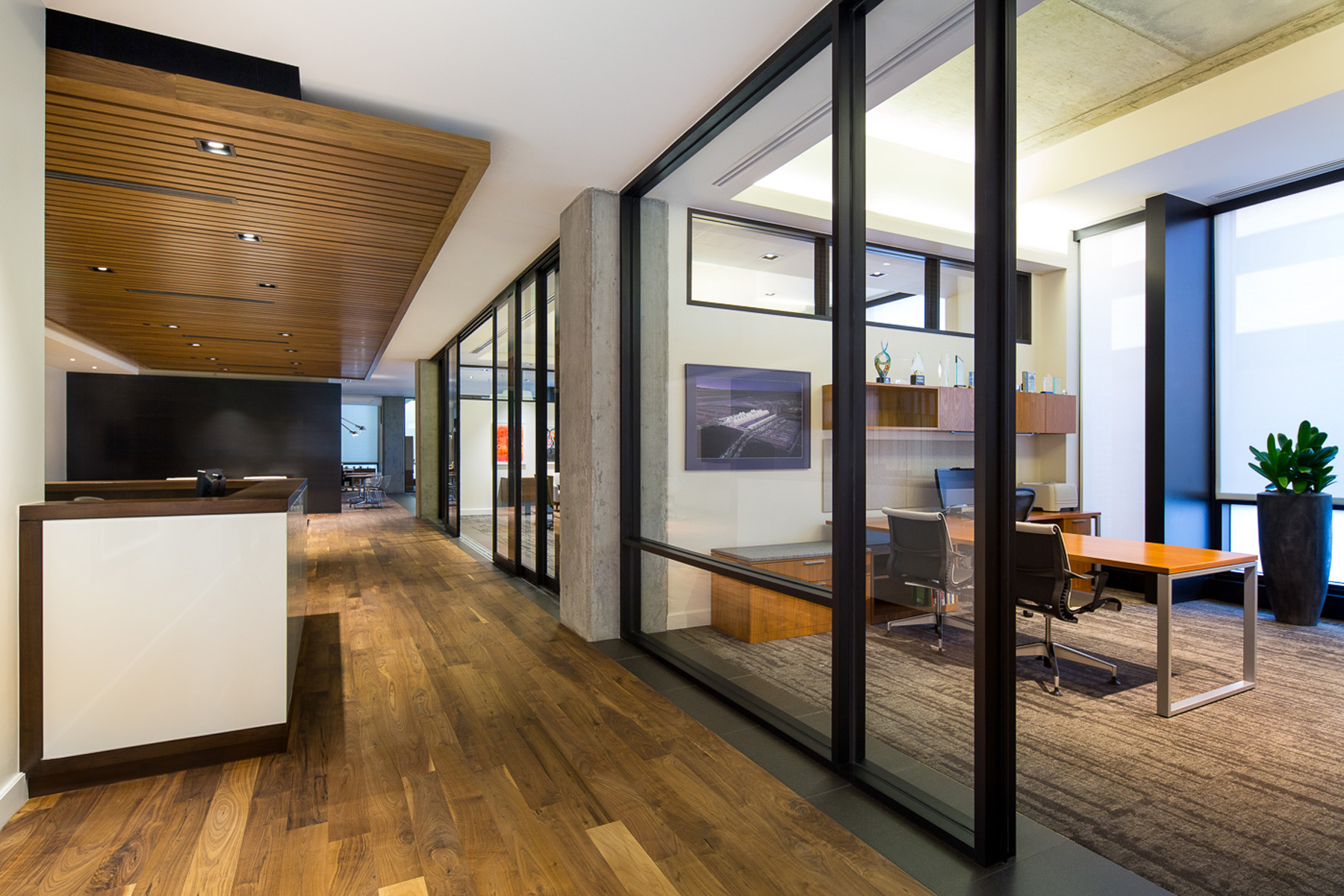 Office Buildout, Denver Colorado